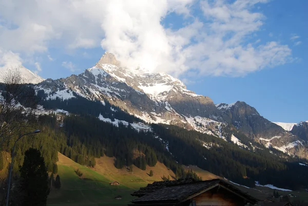 Uitzicht vanaf adelboden op steghorn bergen — Stockfoto