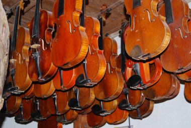 turp üretimi hinsbeck Almanya