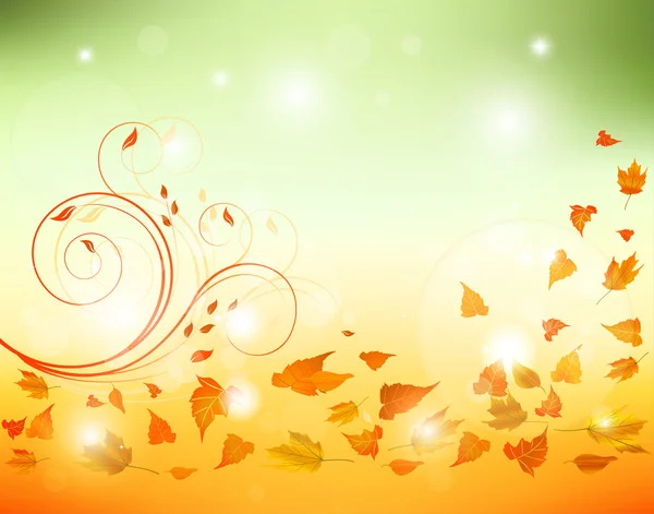 Autumn background with leaves — Stock Vector