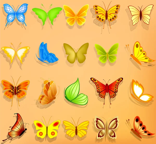 Satz realistischer Vektor-Schmetterlinge — Stockvektor