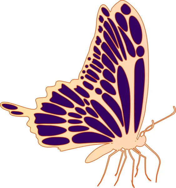 Butterfly Illustration Digital Design Isolated — Stock vektor