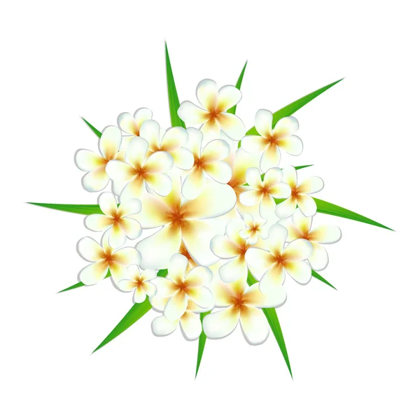 Fond avec une fleur — Image vectorielle