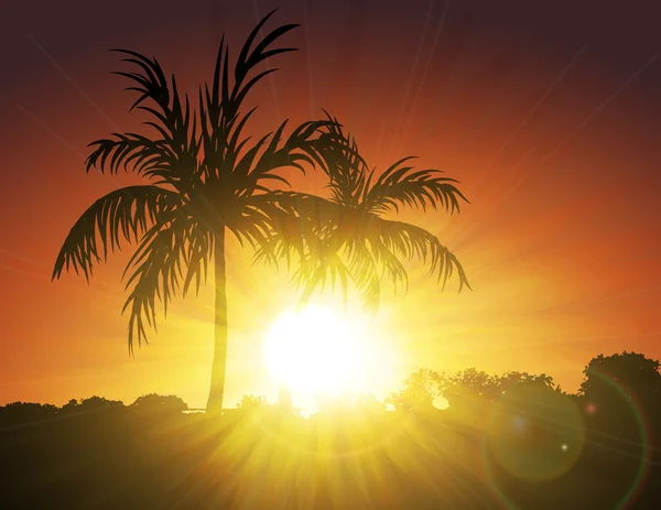 Palmiers au coucher du soleil — Image vectorielle