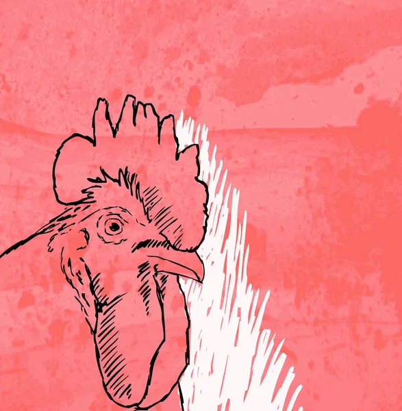 Rooster Sketch auf Grunge-Hintergrund — Stockvektor