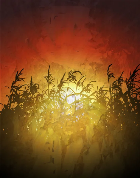 Sunset in cornfield vector background — Stock Vector