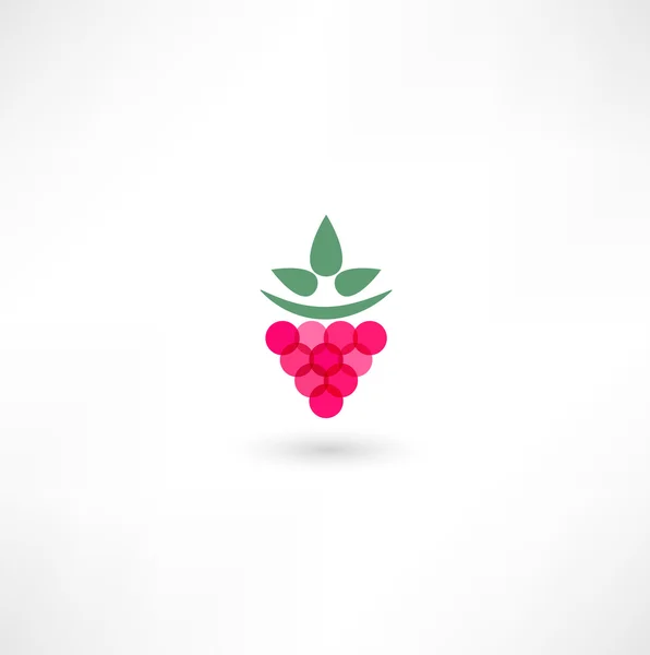 Raspberry pictogram — Stockvector