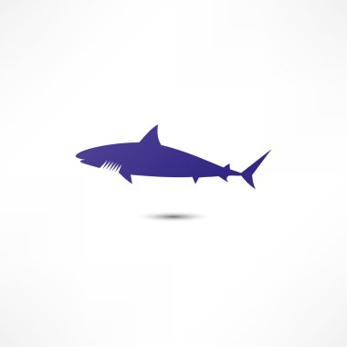 Shark icon clipart