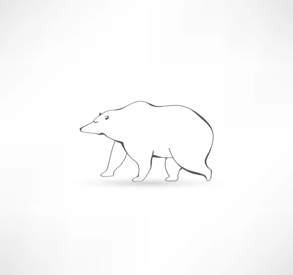 Oso polar blanco — Archivo Imágenes Vectoriales