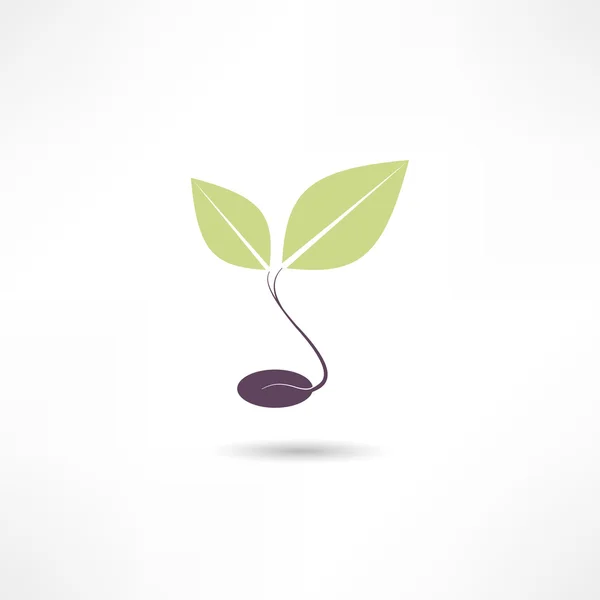 Plants eco icon — Stock Vector