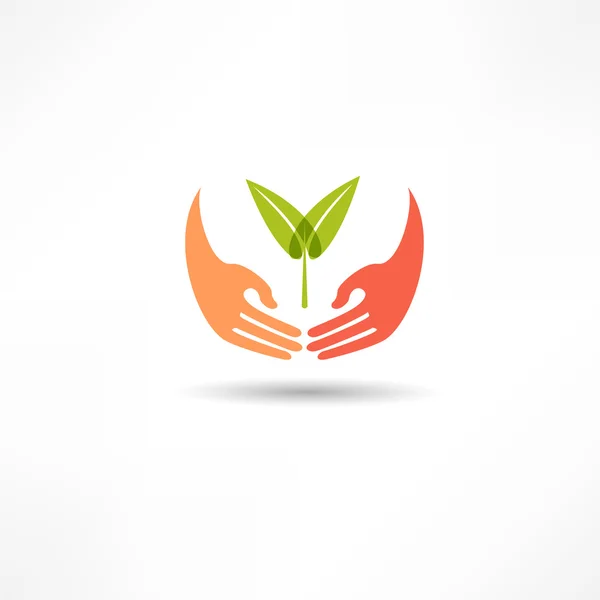 Manos e icono de la planta — Vector de stock