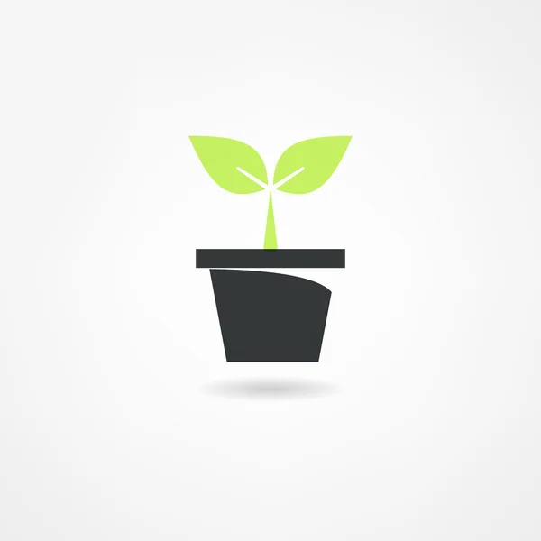 Planten pictogram — Stockvector