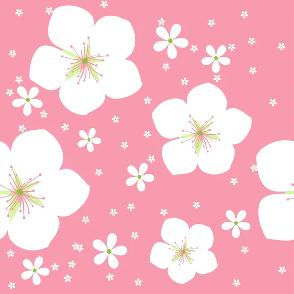 Flor de cerezo. — Vector de stock