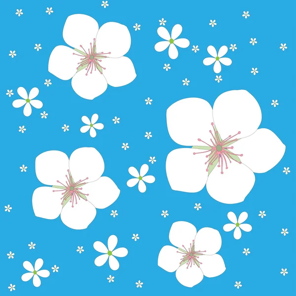 Fleur de cerisier. — Image vectorielle