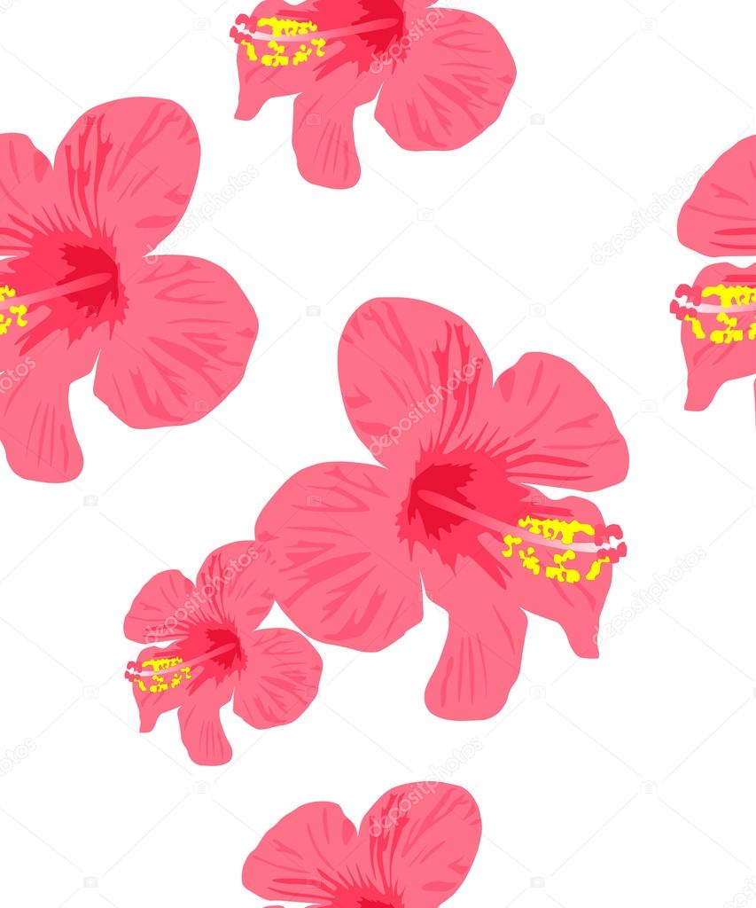 Hibiscus flower seamless Background