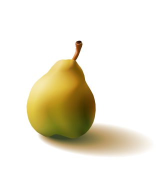 vektör çizimi armut