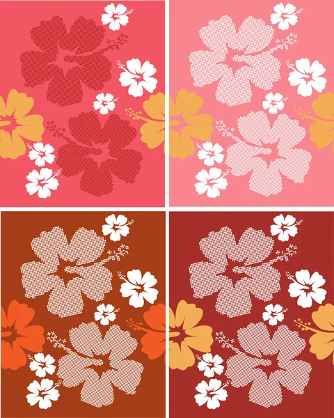 Set seamless Hibiscus flower Background — Stock Vector