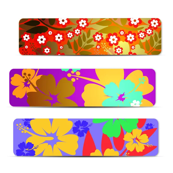 Rezumat colorat Hibiscus set de bannere de flori, pentru design — Vector de stoc