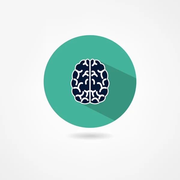 Brain icon — Stock Vector