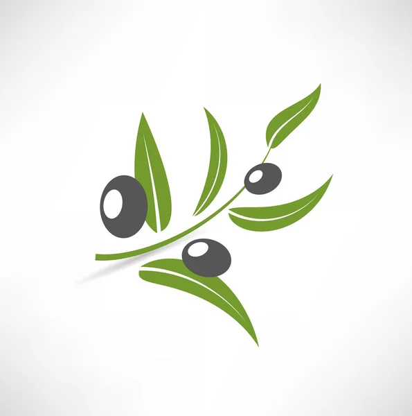 Icône olives — Image vectorielle