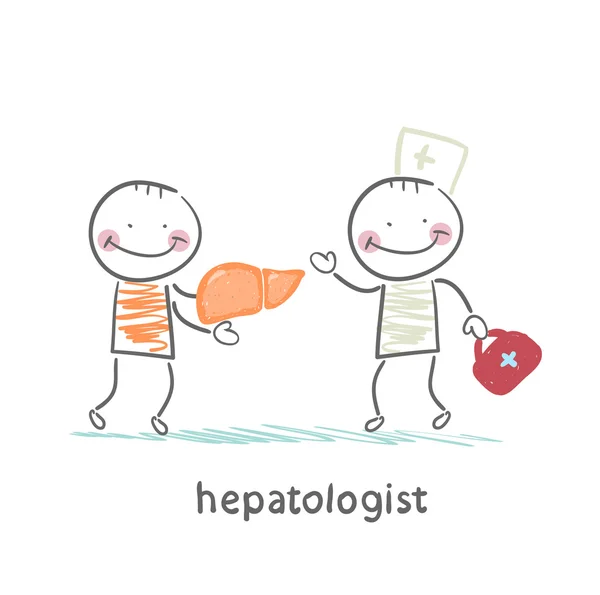 Hepatologe heilte Patientenleber — Stockvektor