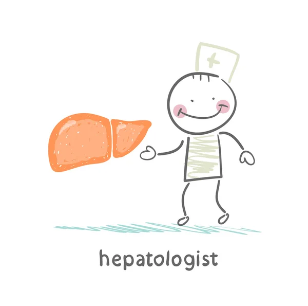 Hepatologist met de lever — Stockvector