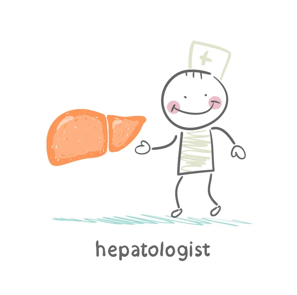 Hepatologist with the liver — Stock Vector