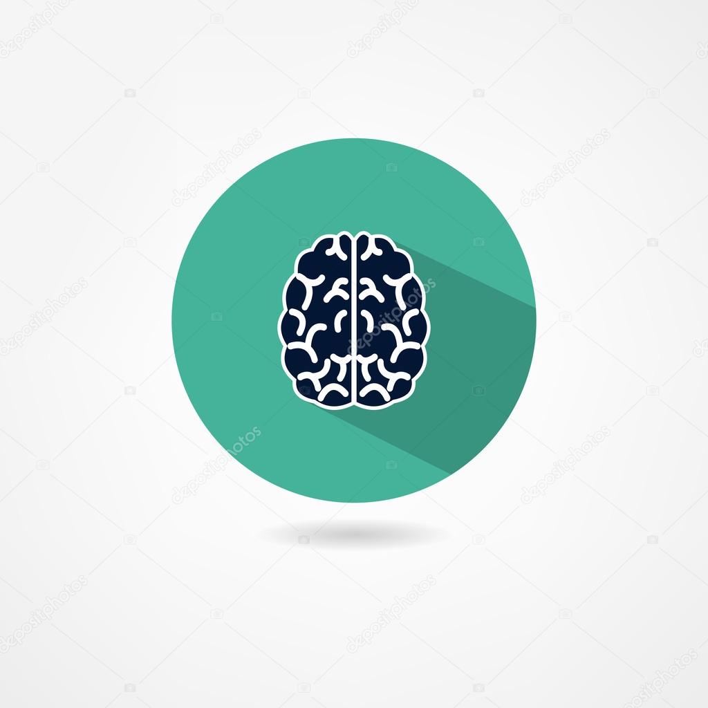 brain vector icon brain vector icon