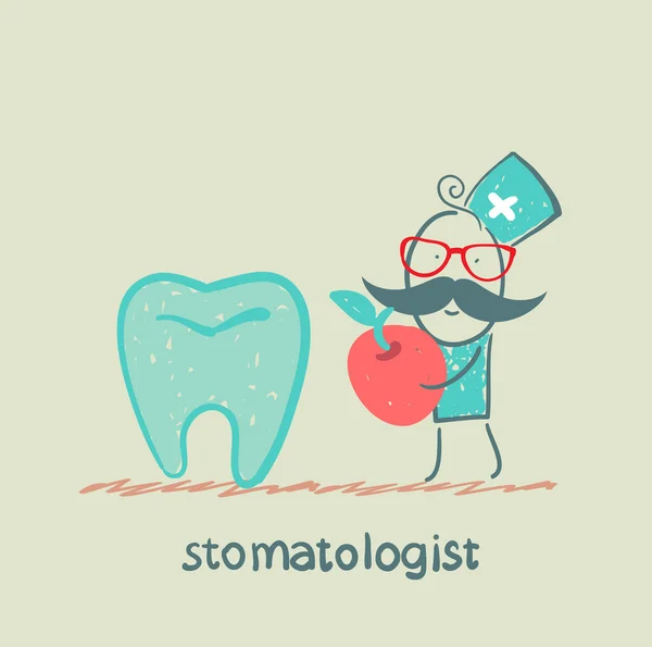 Stomatologist with apple standing near a large tooth — Stock Vector