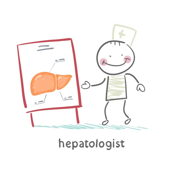 Hepatologist tells presentation on liver — Stock Vector