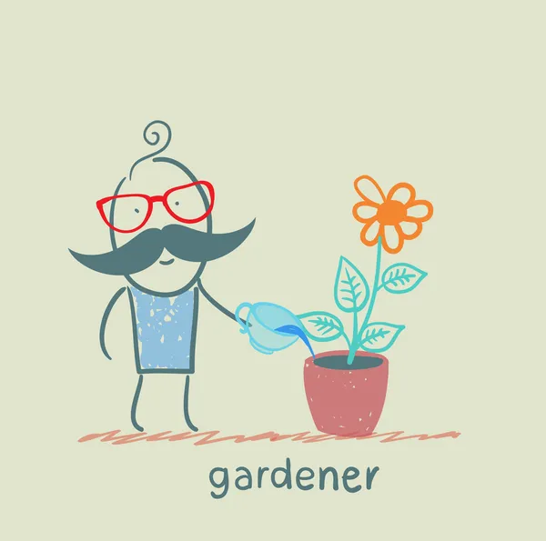 Jardinero riega las flores en una olla — Vector de stock