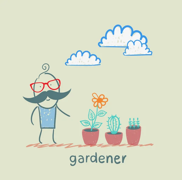 Jardinero en busca de plantas — Vector de stock