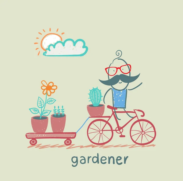 Jardinero lleva una planta de bicicleta — Archivo Imágenes Vectoriales