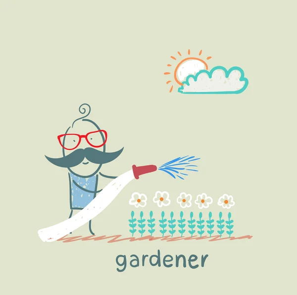Садовник поливает цветы — стоковый вектор