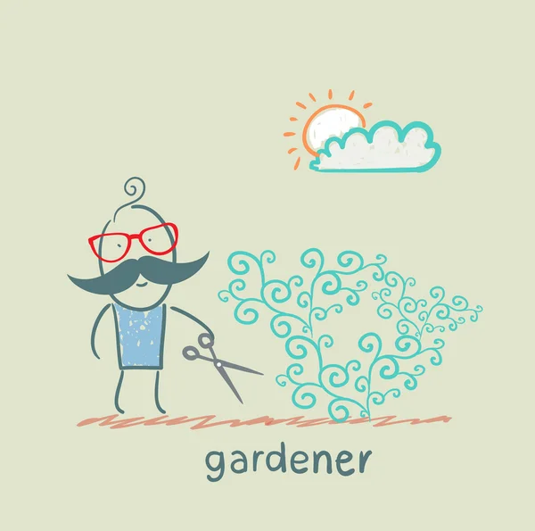 Trädgårdsmästare skär en buske — Stock vektor