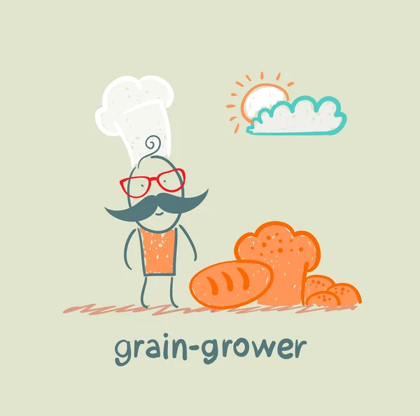 Grain grower stands next to the bread — Stock Vector