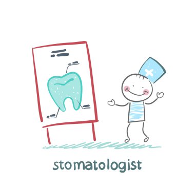 Stomatologist bir sunum üzerinde diş diyor.