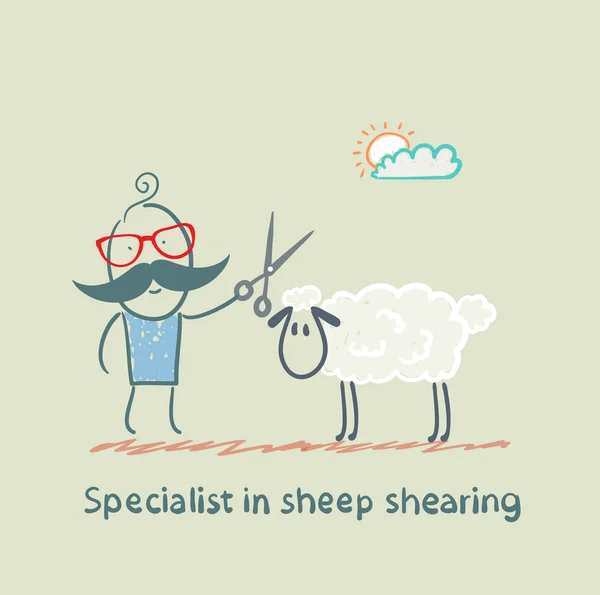 Specialist sheep shearing — Stock Vector