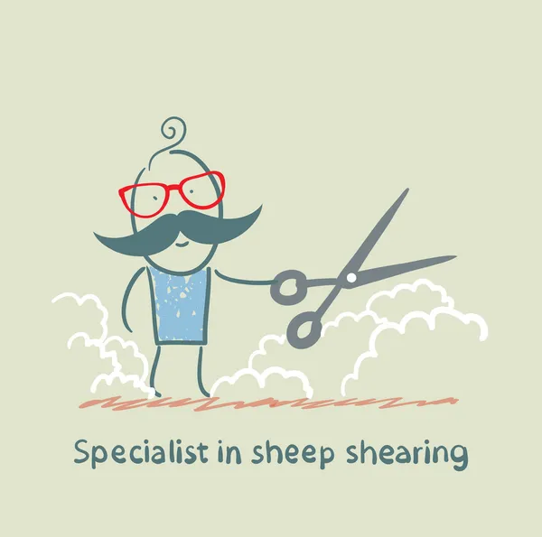 Specialist sheep shearing — Stock Vector