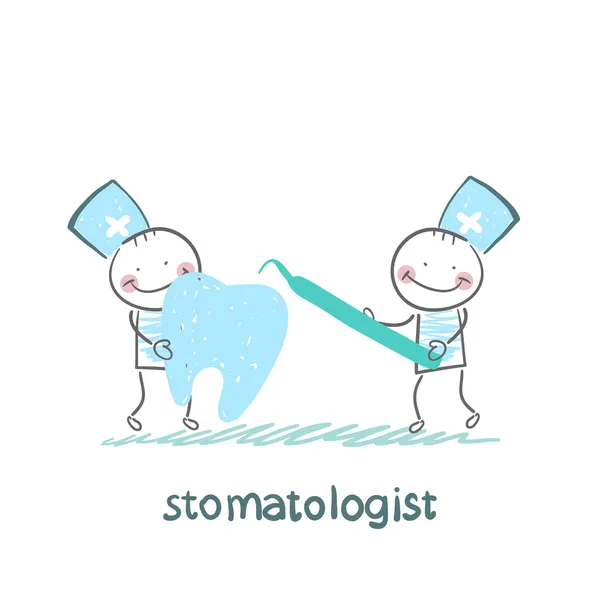 Stomatologist examine the sore tooth — Stock Vector