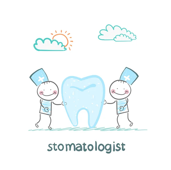 Stomatologist examining patient tooth — Stock Vector