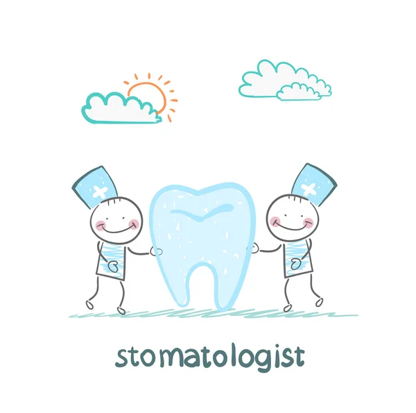 Estomatologista examinando dente paciente — Vetor de Stock