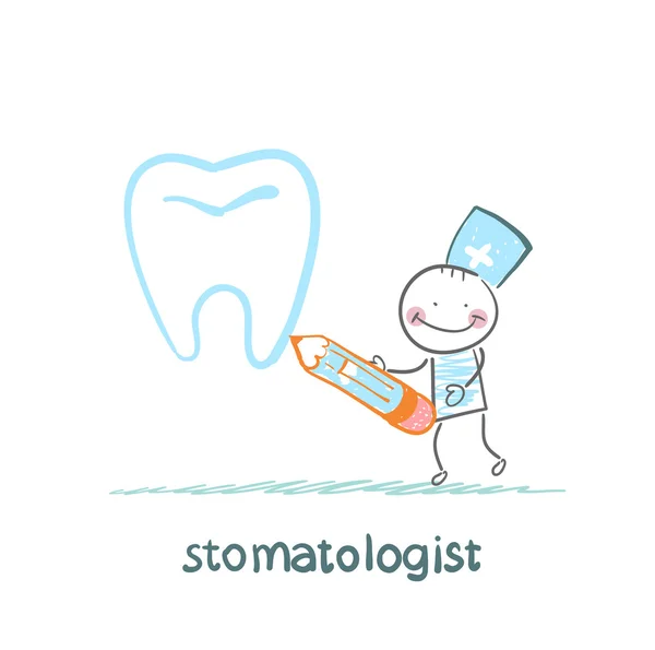 Stomatologist drawing tooth — Stock Vector