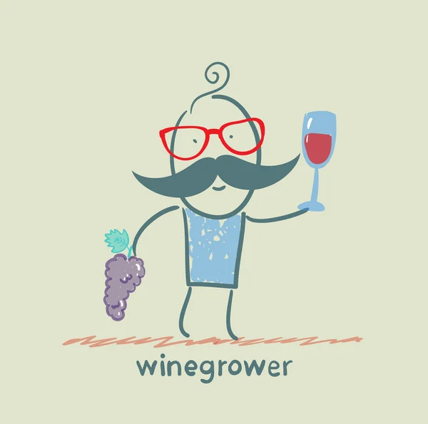 Wijnboer houdt een tros druiven en kijkt naar een glas wijn — Stockvector
