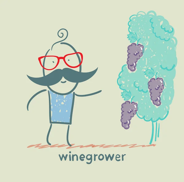 Виноградник дивиться на виноград — стоковий вектор