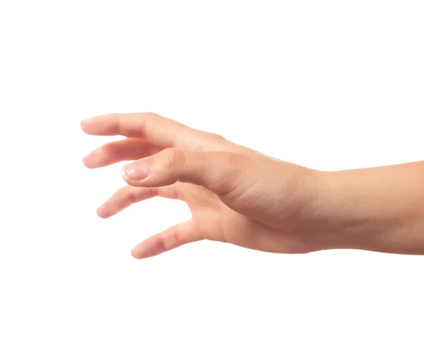 требующая рука. Hand something in. рука держит. протянутые ладони. протягивает ладонь.