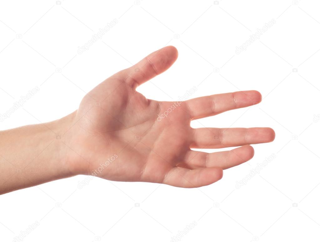 One human hand with five fingers