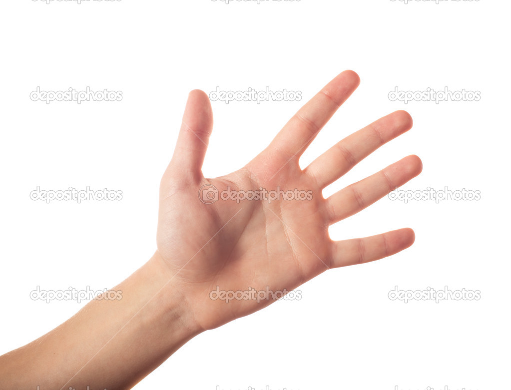 Five fingers isolated on white background