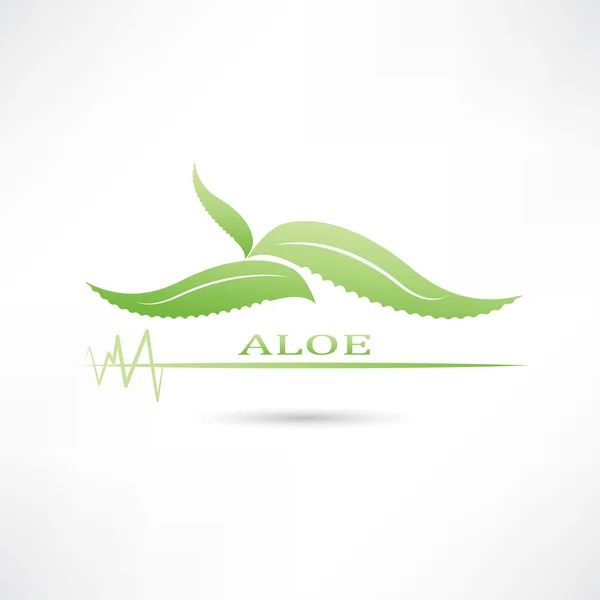 Ícone verde Aloe — Vetor de Stock