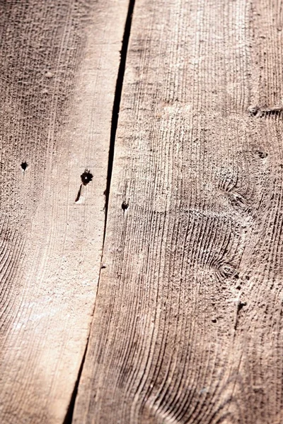 Legno sfondo macro — Foto Stock