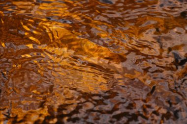 dubalar altın ve kahverengi su